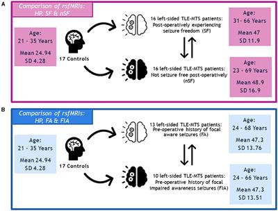 Profiles of resting state functional connectivity in temporal lobe epilepsy associated with post-laser interstitial thermal therapy seizure outcomes and semiologies